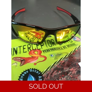 Polarized Sunglasses